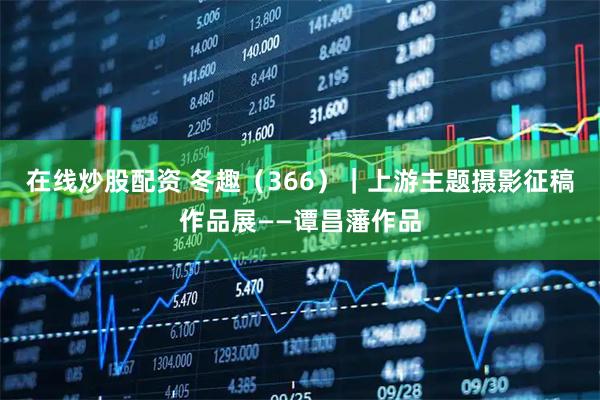 在线炒股配资 冬趣（366）｜上游主题摄影征稿作品展——谭昌藩作品