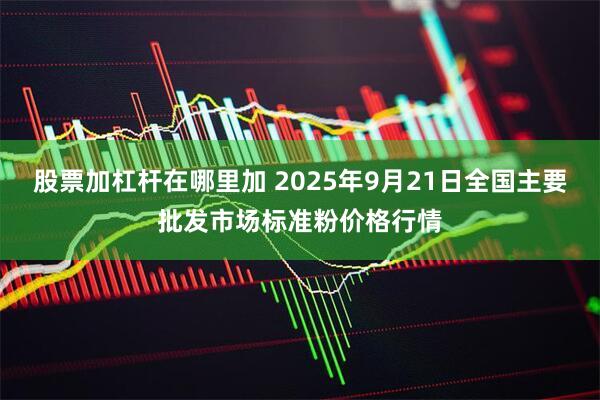 股票加杠杆在哪里加 2025年9月21日全国主要批发市场标准粉价格行情