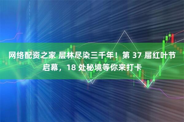 网络配资之家 层林尽染三千年！第 37 届红叶节启幕，18 处秘境等你来打卡