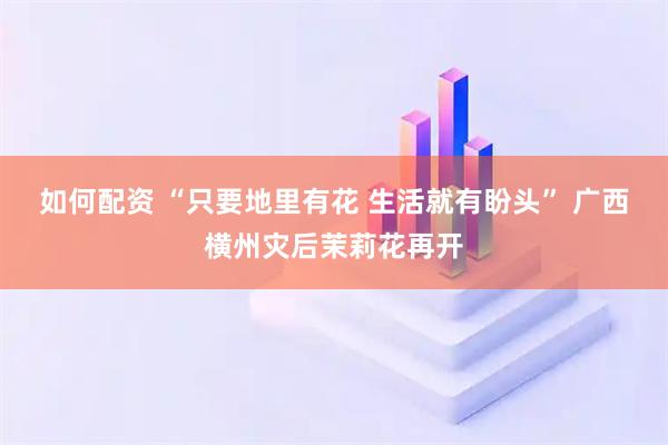 如何配资 “只要地里有花 生活就有盼头” 广西横州灾后茉莉花再开