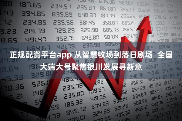 正规配资平台app 从智慧牧场到落日剧场  全国大端大号聚焦银川发展寻新意